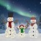 Festive 2D Snowman Christmas Lights Set of 3 Figures 48", 42" and 24" Holiday Yard Decorations